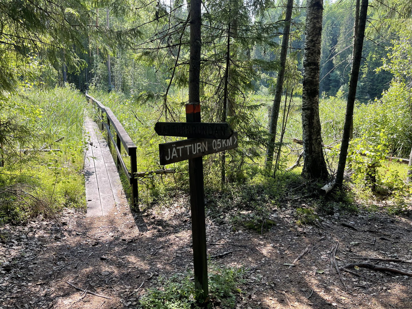 Längs med leden
