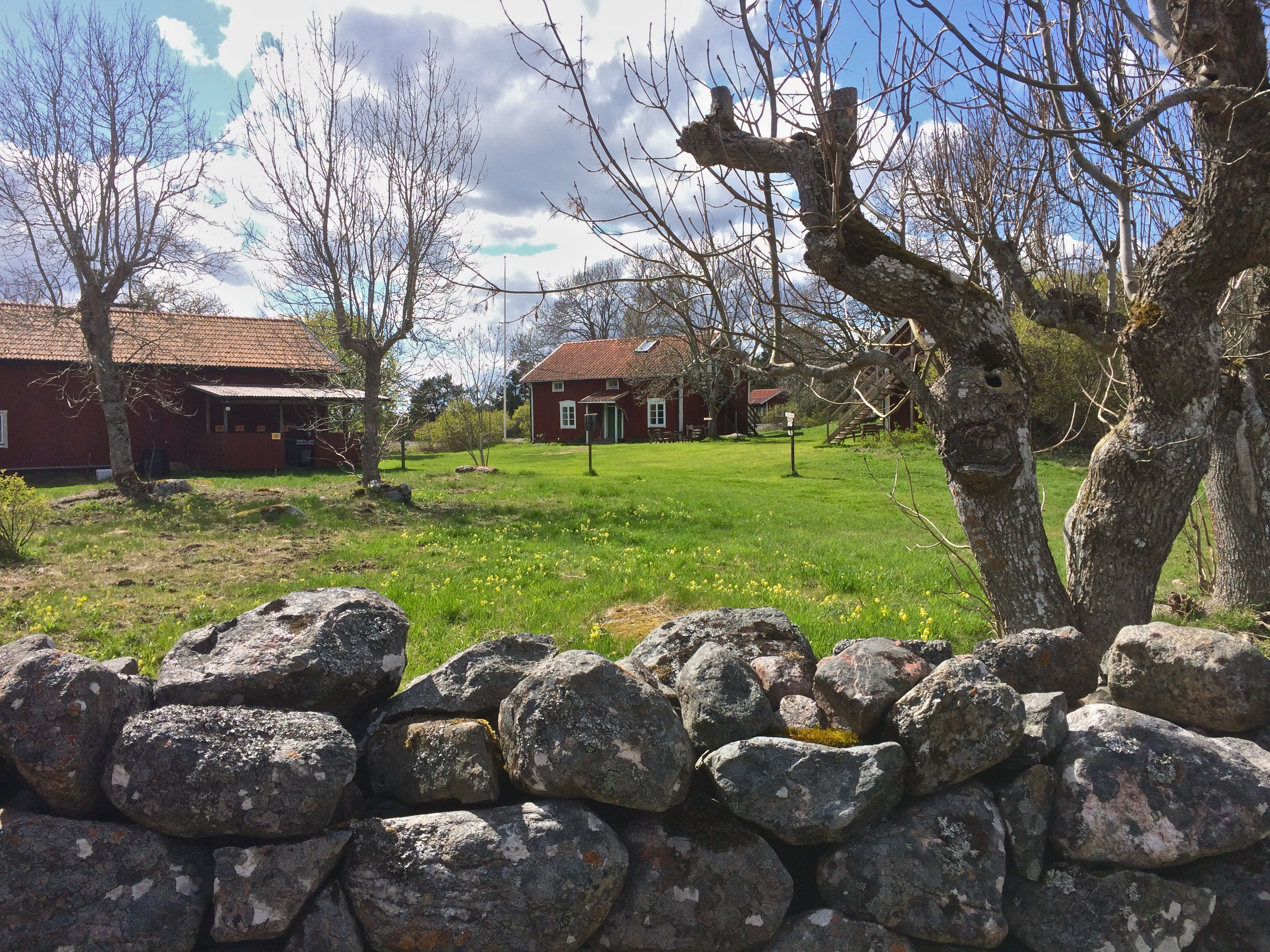 Bakom en stenmur finns öppen gräsmark med flera träd och mindre träbyggnader.