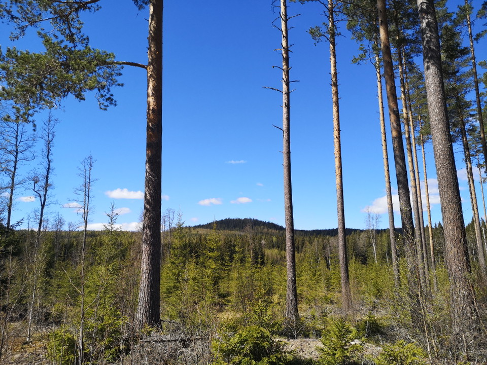 Vy mot Vanberget