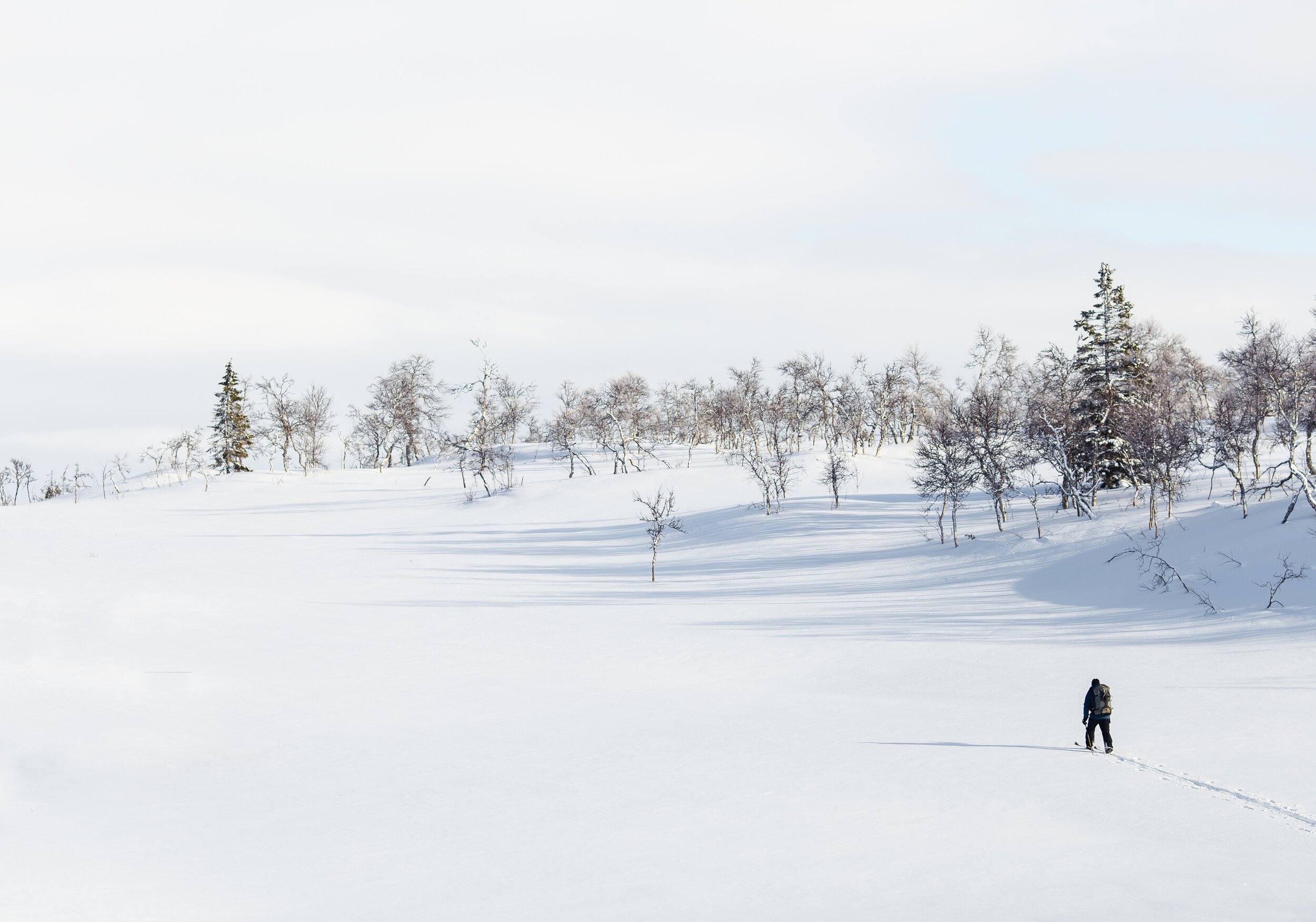 Sveriges natur är unik och tillgänglig, tycker utländska turister