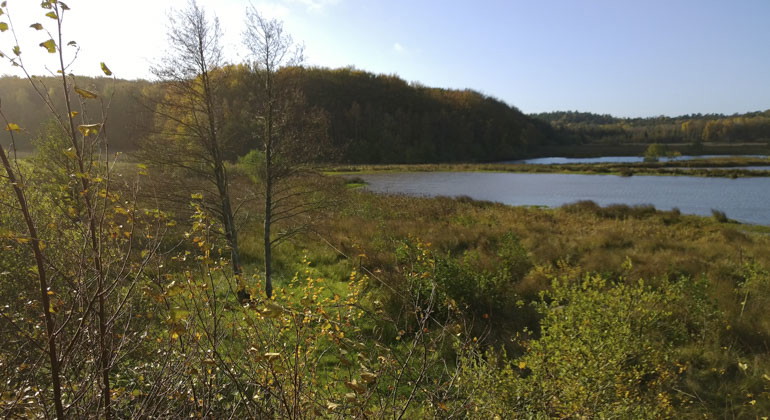 vy över vatten i reservatet