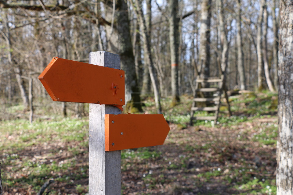 Två orange pilar på stolpe som visar vägen.