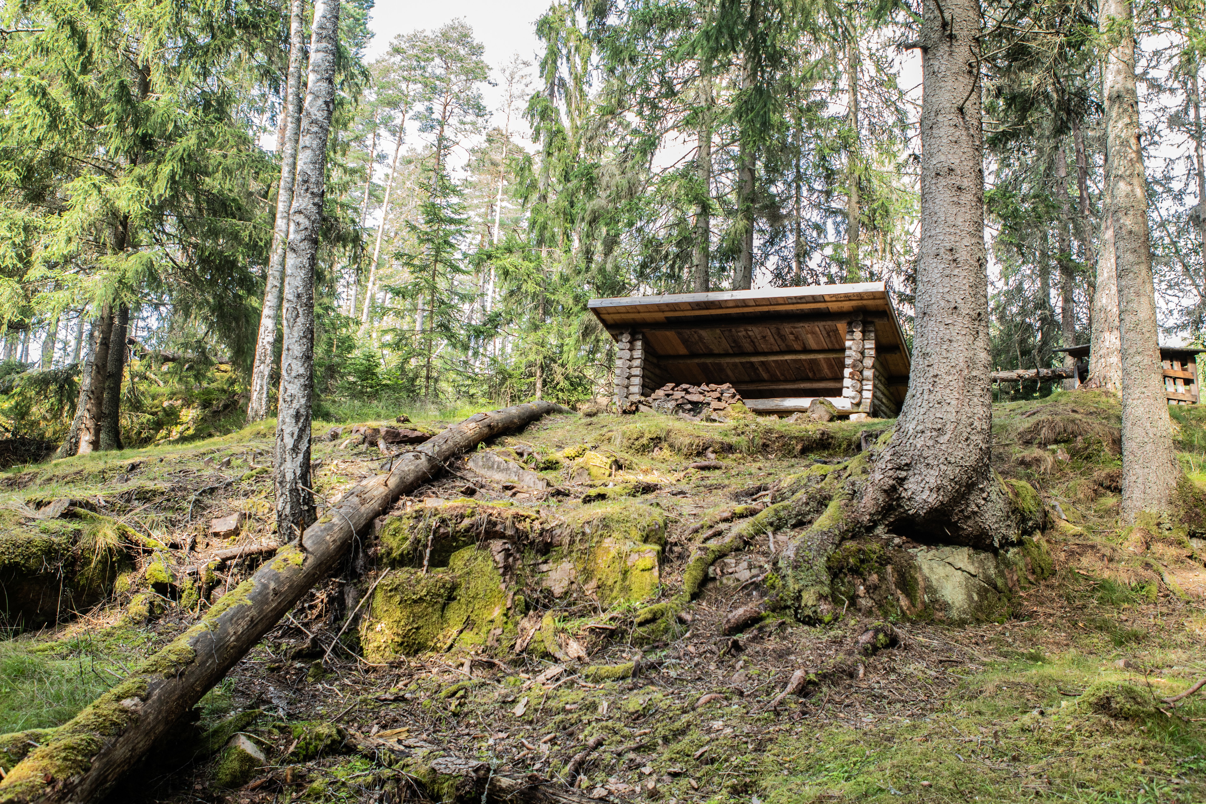 Ett vindskydd på en höjd i skogen