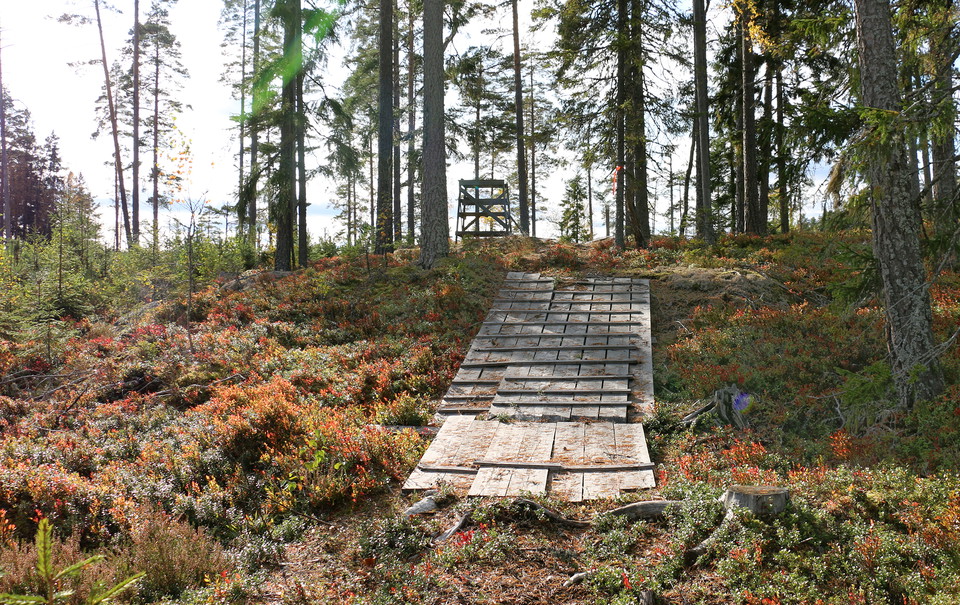 tråspång upp på en liten höjd där ett jaktpass står.