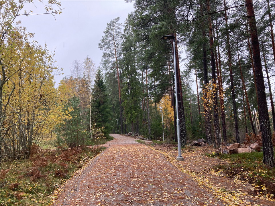 Braås 1 november