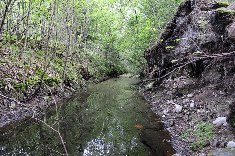 Foto: Niklas Kämpargård