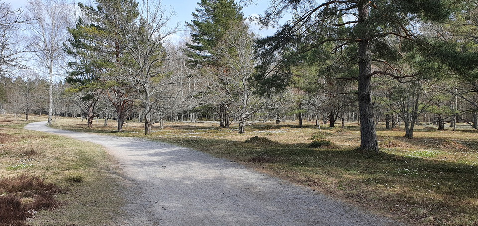 En grusad promenadväg går genom området.