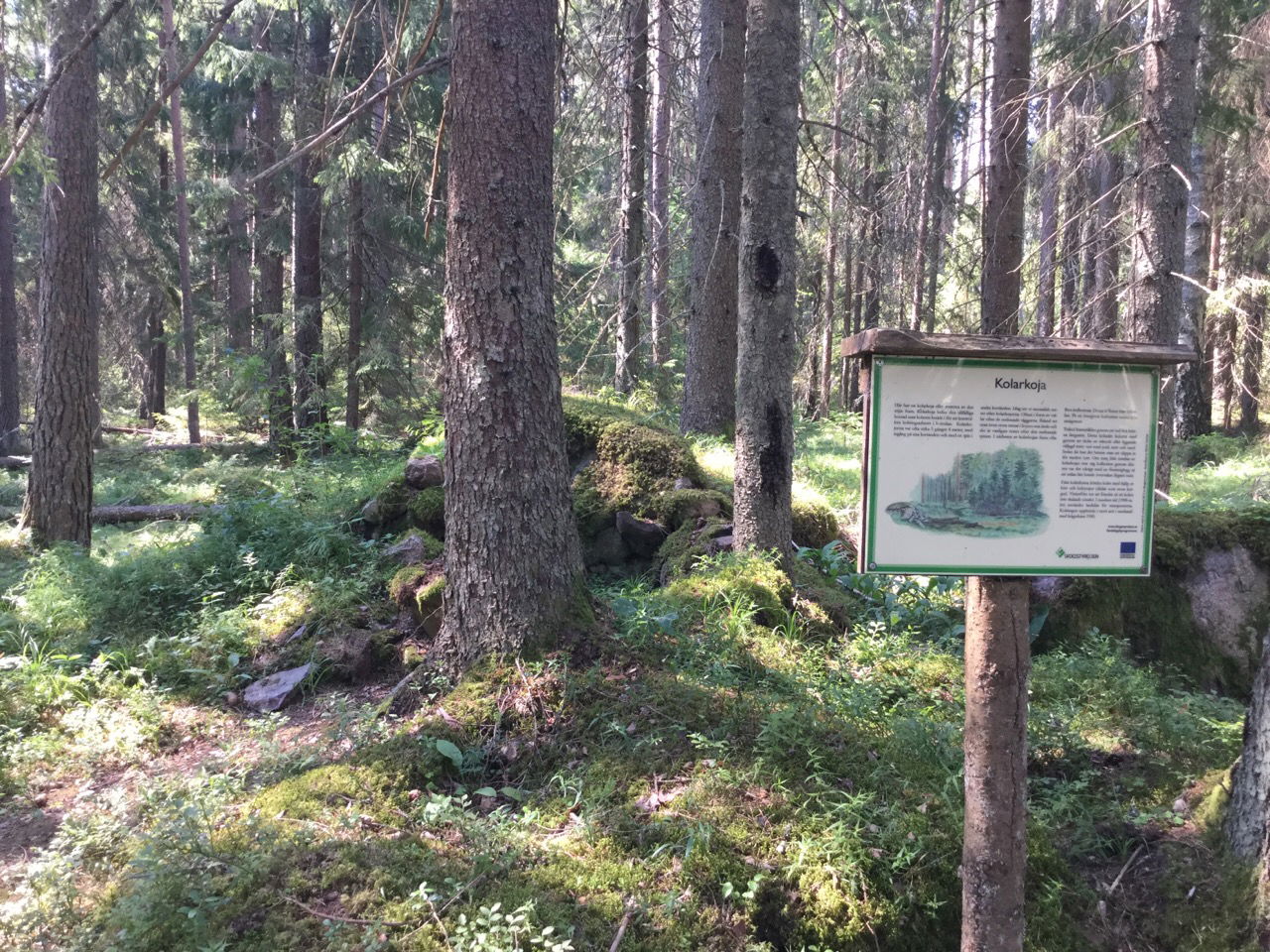 Rester av en kolarkoja.