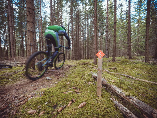 Wimer Bike Park - Mossebo Flowtrack, Grön
