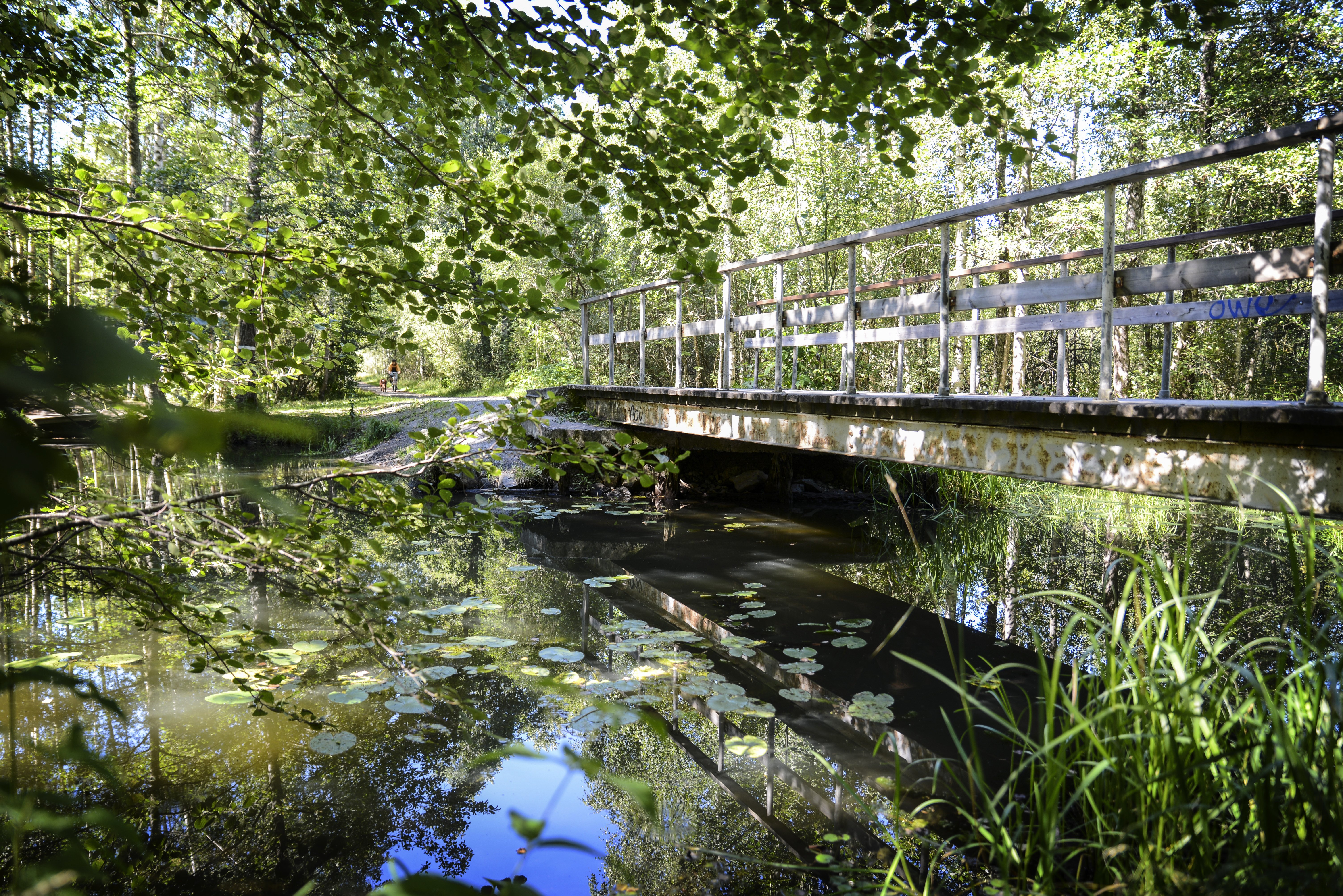 En bro över vattnet vid kärret i Brotorp