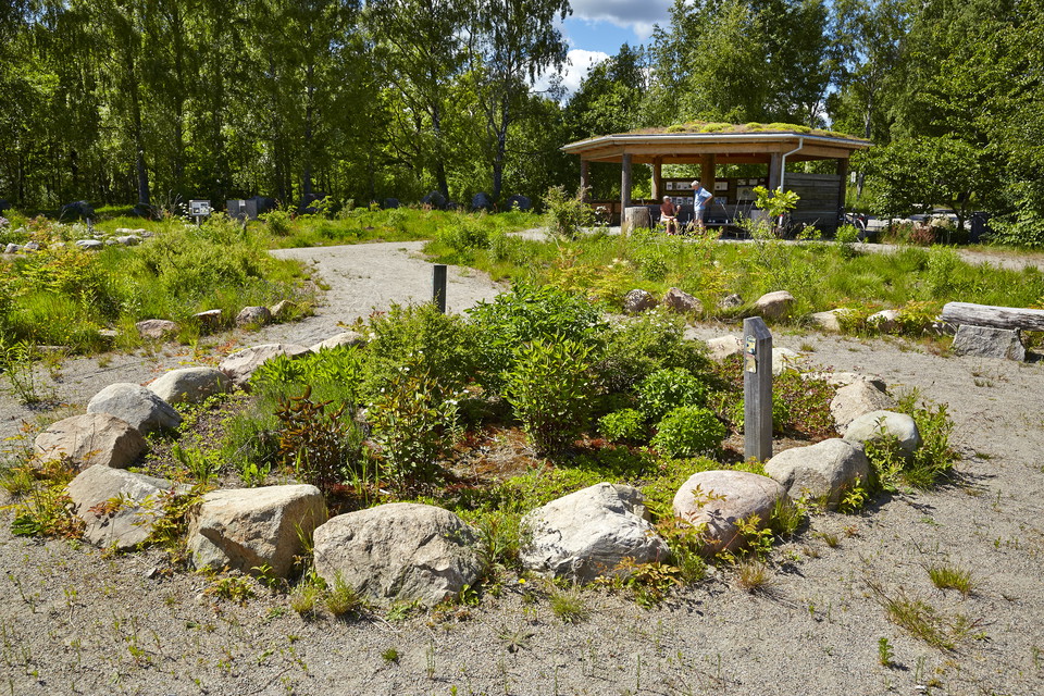 Grön oas för pollinatörer