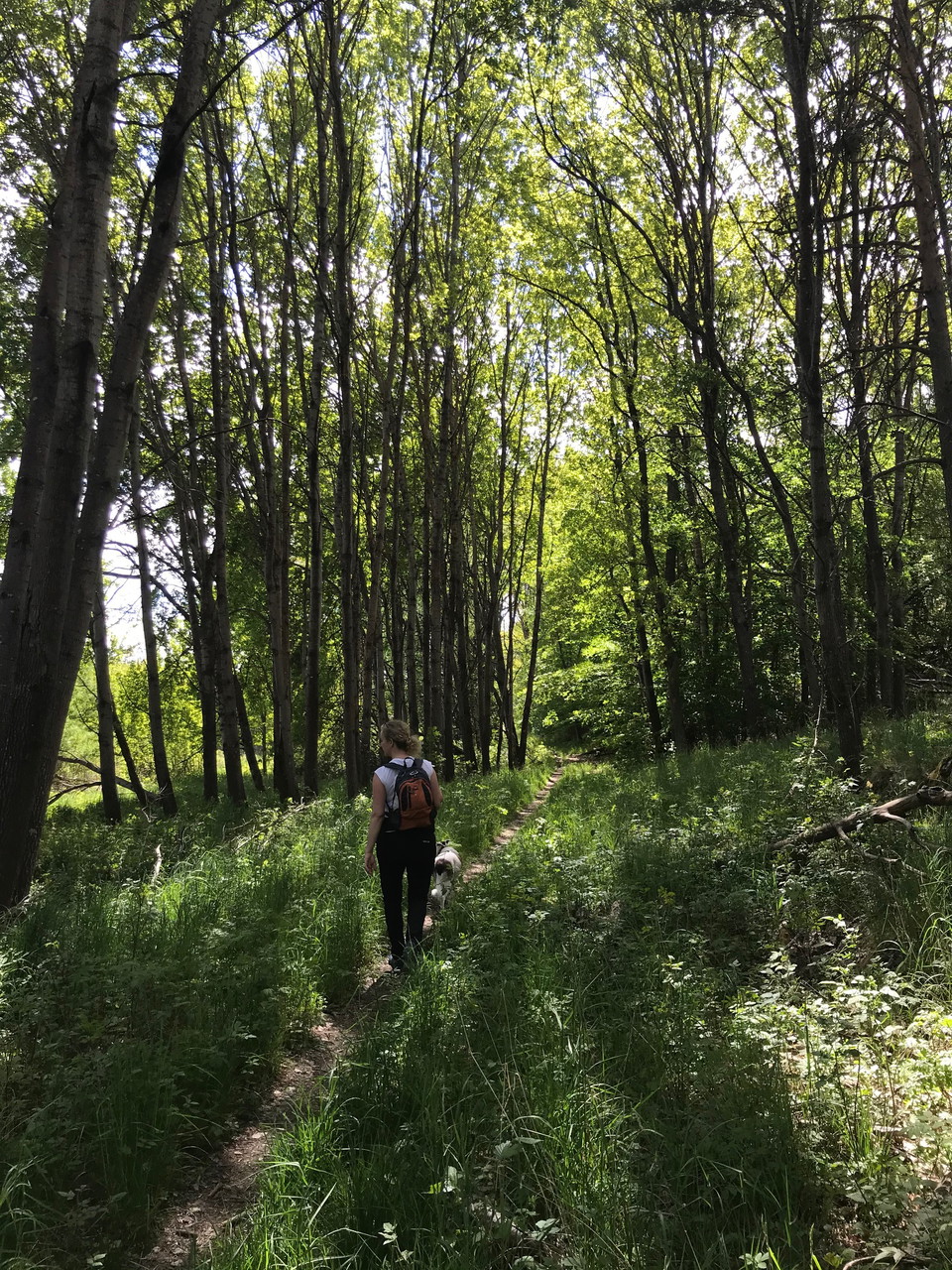 Lovö runt. Foto: Länsstyrelsen Stockholm.