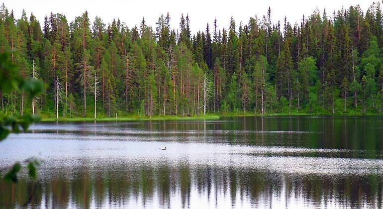 Vy över sjön Illok som gett reservatet sitt namn.
