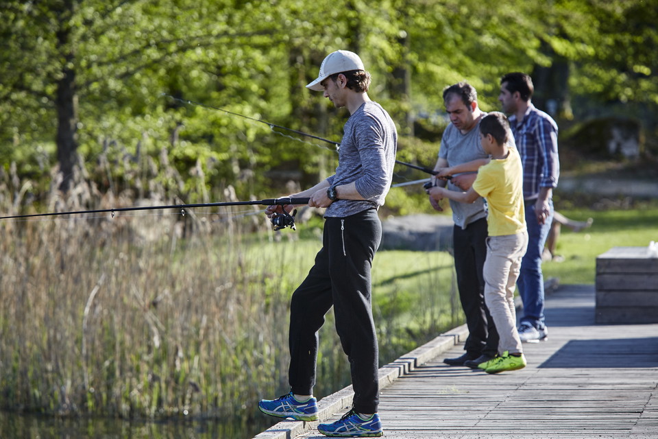 Fotograf: Hans Runesson