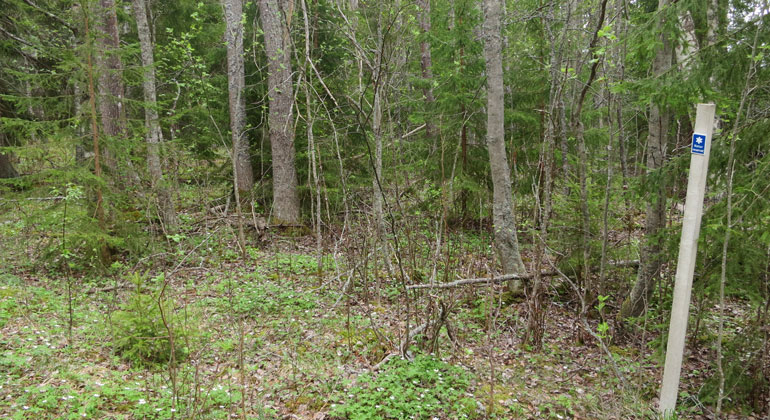 Bild från Länsstyrelsen