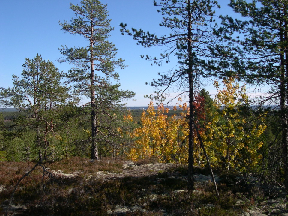 Peter Jonsson
