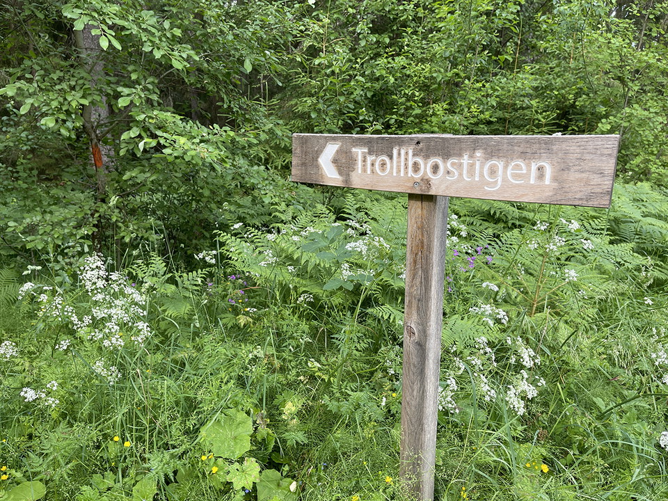 Skylt med text Trollbostigen visar riktning.