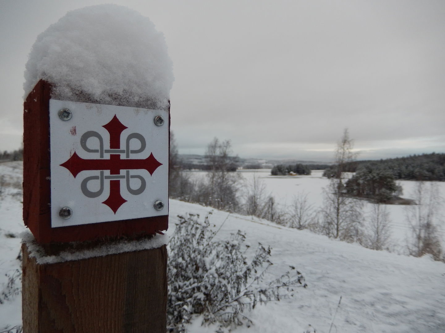 Pilgrimsmärke längs med leden