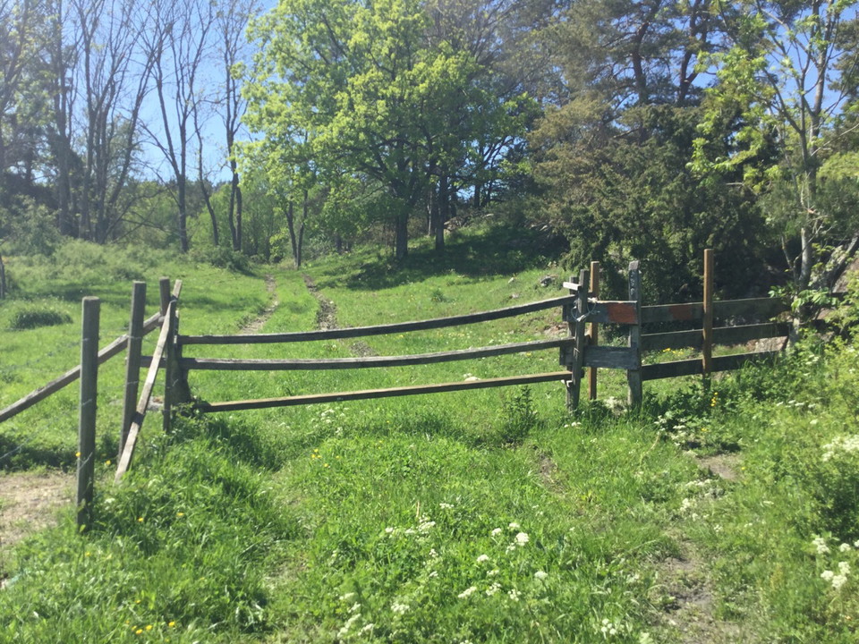 I Eriksö vandrar du genom  betade marker.