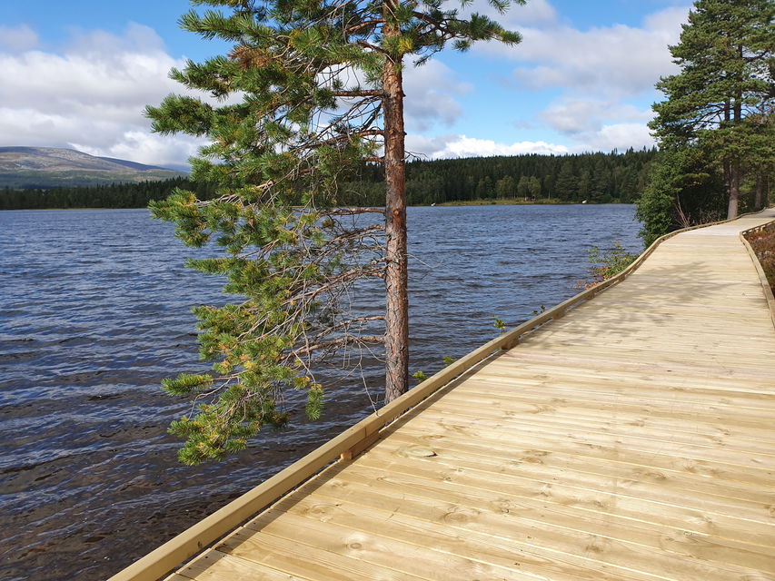 Träramp vid sjö, för rullstol och barnvagn