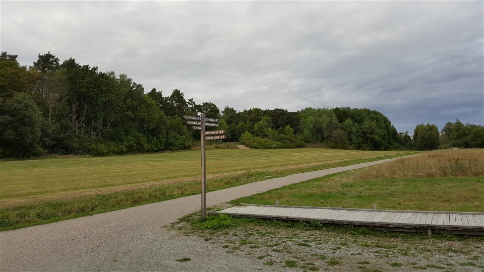 Vid en korsning av en grusväg och en spång står en vägvisare med pilar åt olika håll. I bakgrunden finns äng och skog. 