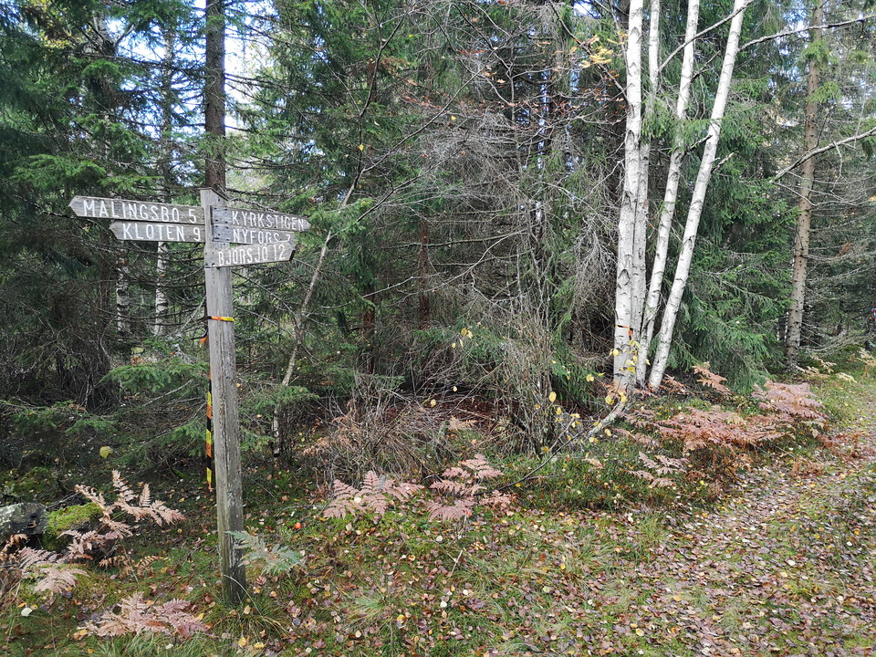 Ledmarkering längs med leden