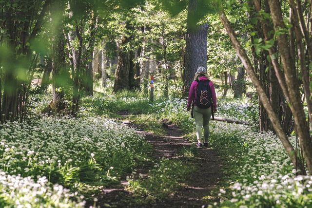 The  Biosphere Trail section 4 Källby-Trolmen