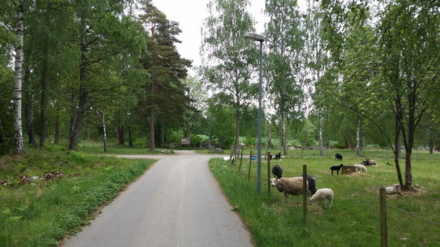 Stickspår Löpanäs elljusspår