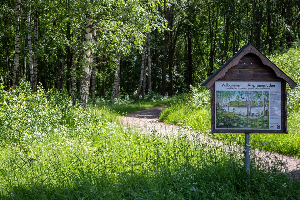 Vandringsled längs Dalälven.