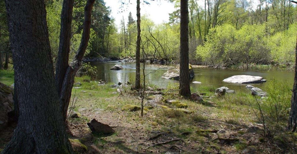 Brännvinsliden rastplats
Boxholm-Eklabo
