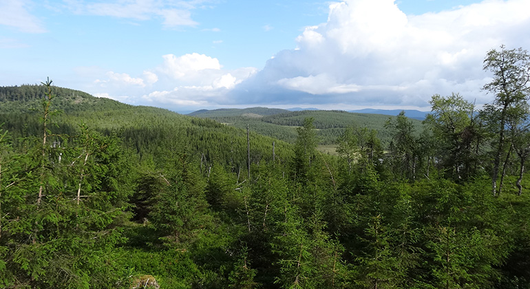 Husmansknölen, Naturreservat