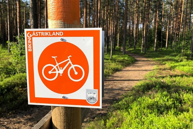 Hyttis, Biking Gästrikland
