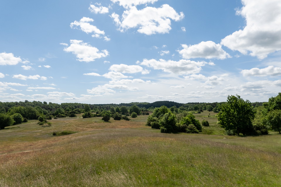 Vidsträckta fäladsmarker med skog i fjärran