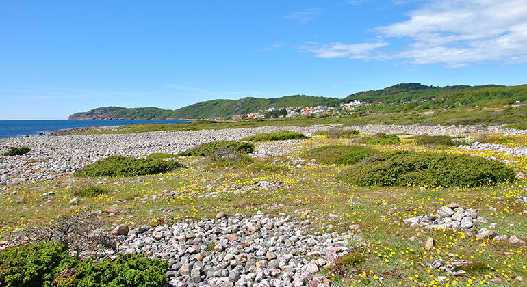 Vy mot Mölle.
