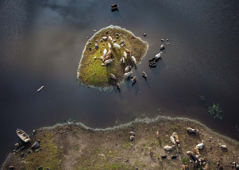 Naturkartan - in Swedish and English! 