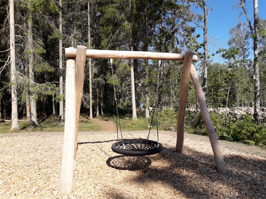 Several types of swings
