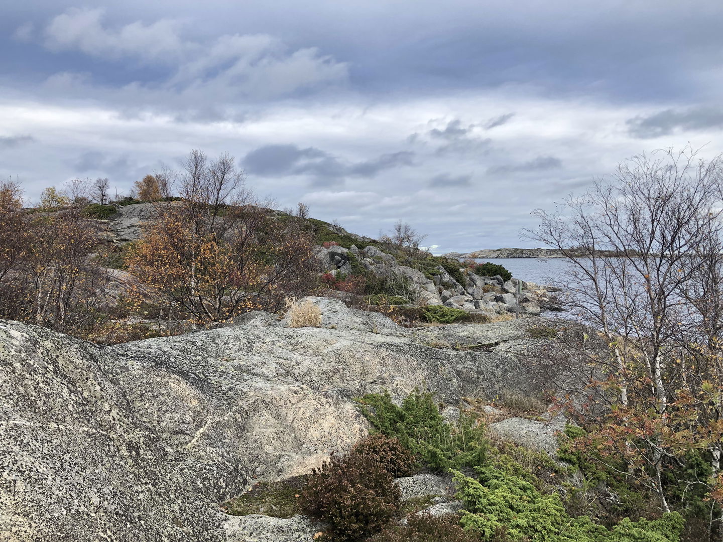 Hallskärets naturreservat