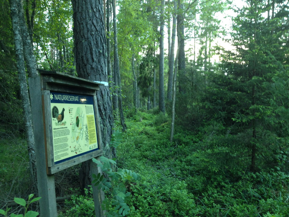 Entré Bromseby. 