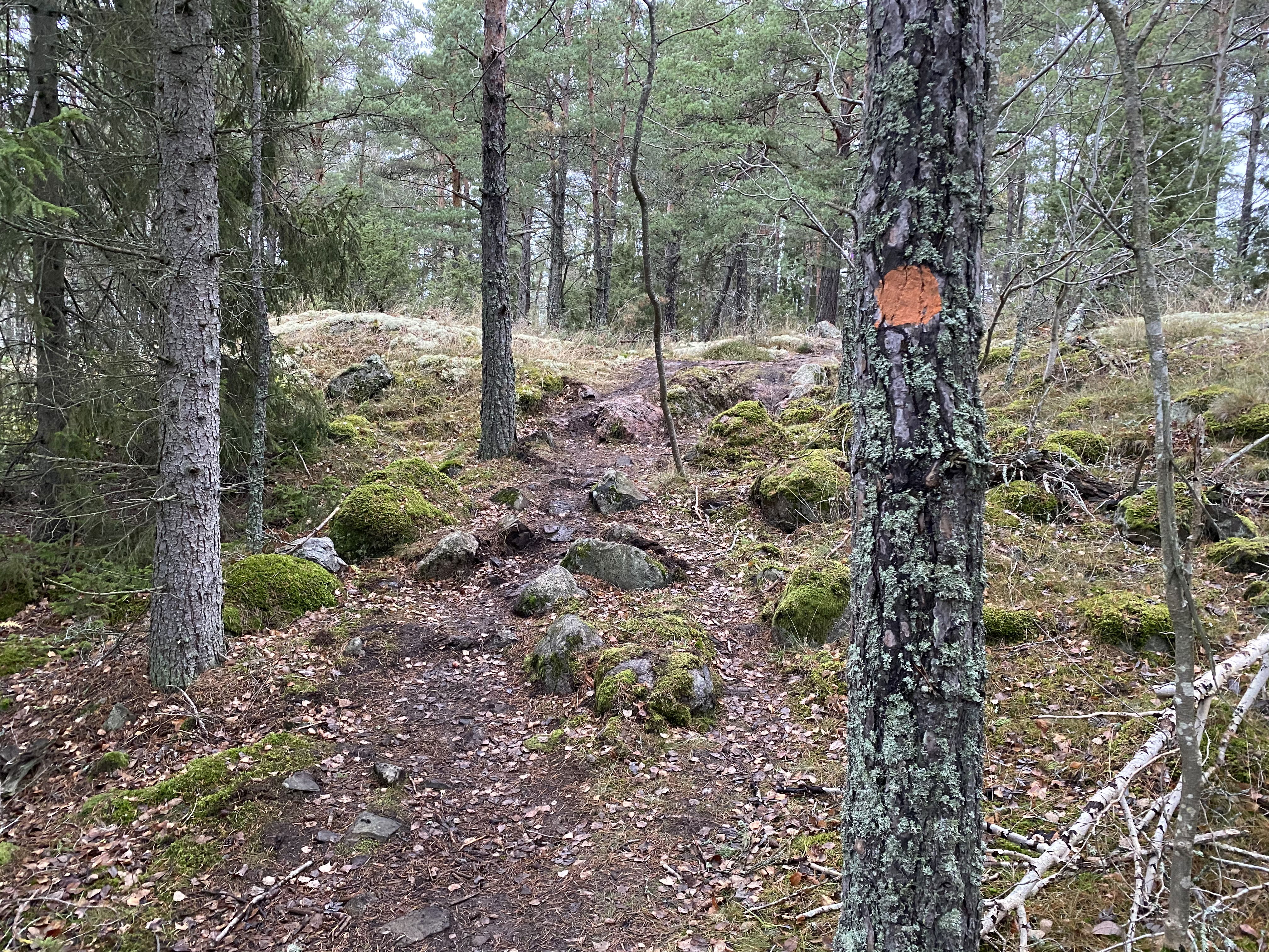 Lovö runt. Foto: Mats Larshagen.