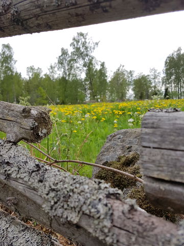 Stångehamnsleden Rocky Road
