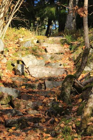 Vandringsstigar, Korpberget