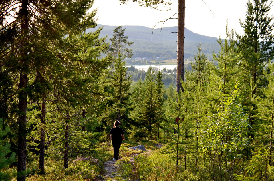 På Grelsbyberget finns fina leder för vandring och löpning