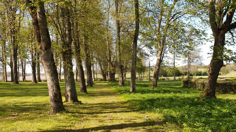 Värmlands Säby nature reserve