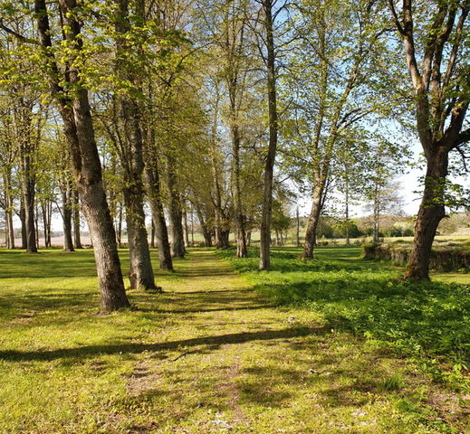 Värmlands Säby naturreservat