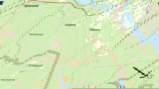 Ledstart vid vägen genom reservatet, i jämnhöjd med Dammyrtjärnen.