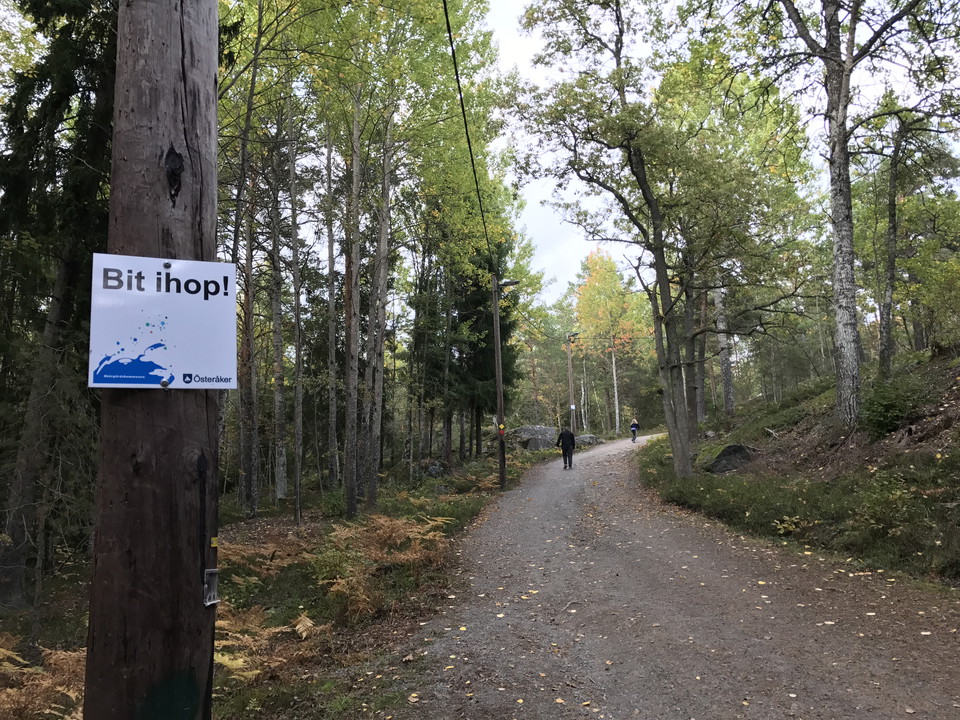 Motionsspår i Hackstaskogen