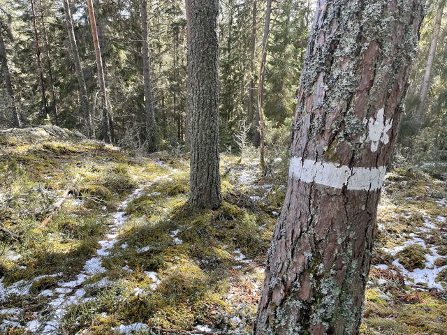 Svalgölensbrantens naturreservat