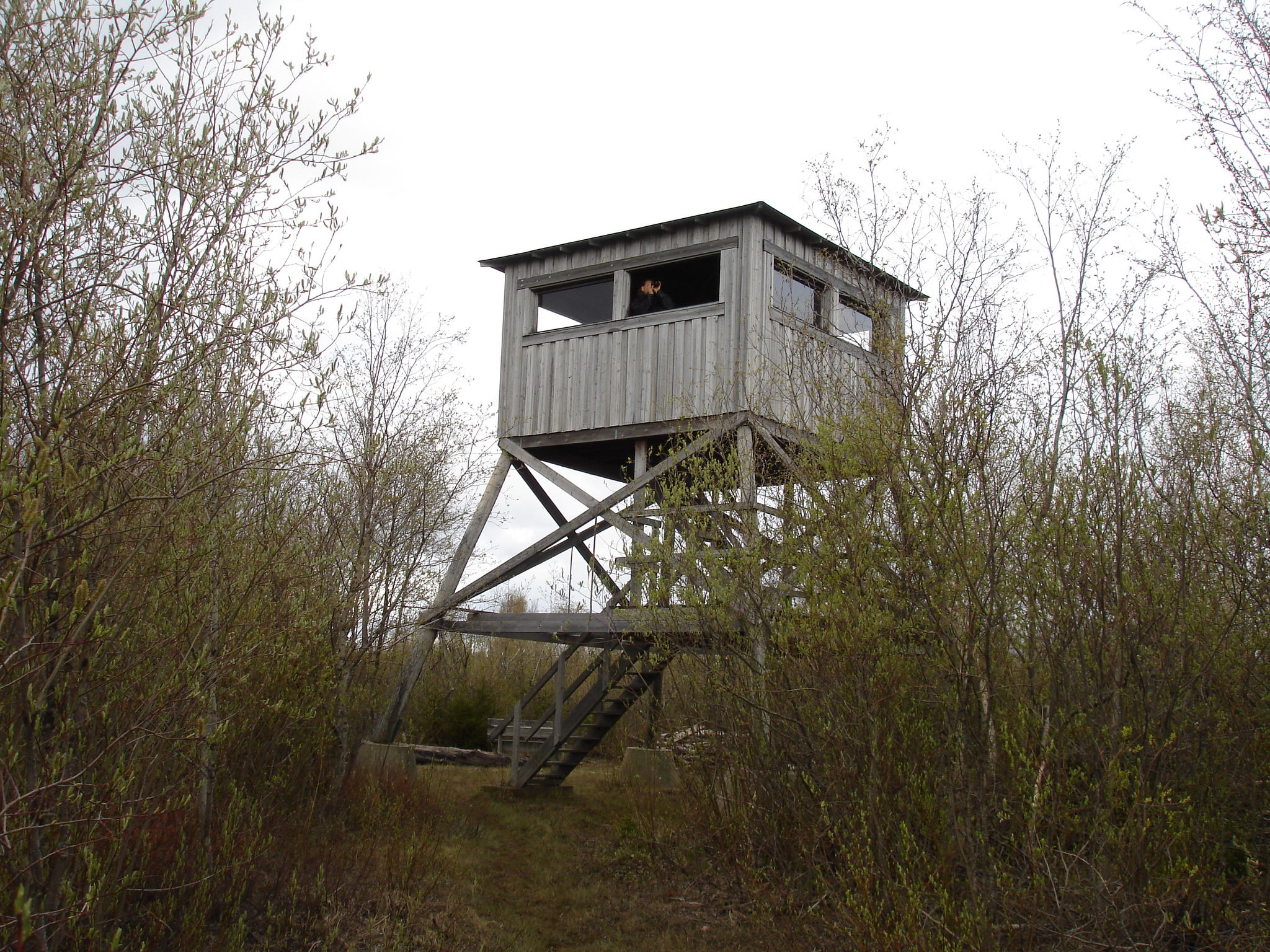 Villanäs Umeälvens delta, vandringsled