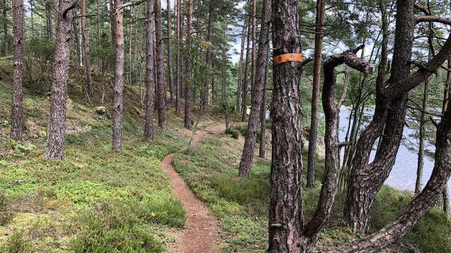 Djursjöleden