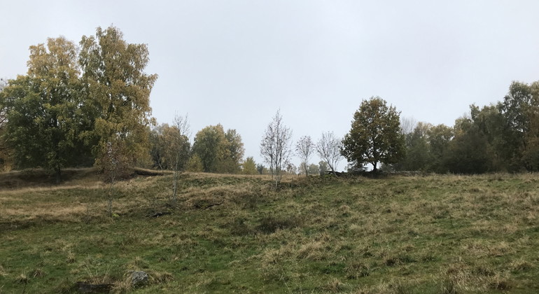 Den södra enefäladen.